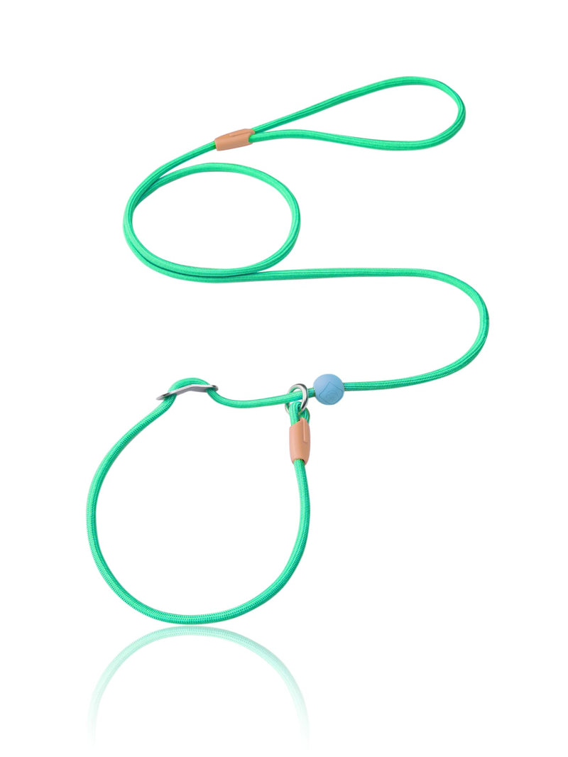 Slip Lead Dog Leash, Adjustable Slip Lead with Aviation Aluminum Anti-Choking Stopper, Lightweight Pet Training Lead Green-5Ft - PawsPlanet Australia