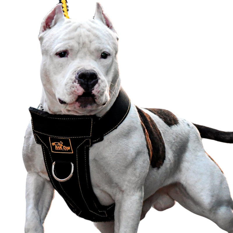 KNK | Heavy Duty Dog Harness for Pitbulls, Bullies and Large Breeds - No Pull, Ultra Durable, Soft Padded Chest, Metal Leash Attachment - PawsPlanet Australia
