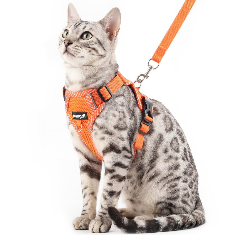 Cat Harness and Leash Escape Proof Large Kitten Harness Ragdoll Cat Vest for Walking Travel, Orange, L