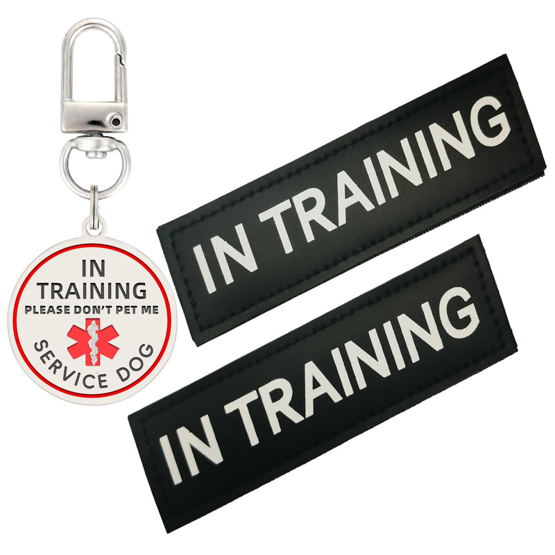 Service Dog in Training Patch, in Training Tag, Removable to Collar, Harness (Black Patch-Large 1.50 x 5.12) Large In Training(patch&tag) - PawsPlanet Australia