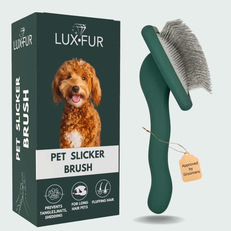 Premium Dog Slicker Brush – Doodle Grooming Brush for Long Haired Dogs - Goldendoodle, Labradoodle, Poodle & Golden Doodle – Ideal for Wavy & Curly Hair - Detangles & Fluffs Curly, Double Coats - PawsPlanet Australia