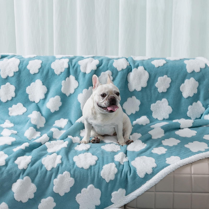 Waterproof Pet Blanket,Dog Blue Dog Blankets for Bed Covers Couch Sofa Stylish Jacquard Pets Throw Blankets for Puppy Cats Washable Reversible Furniture Protection Covers (Blue Cloud,M) Blue Cloud M-100*145cm(40*57in) - PawsPlanet Australia
