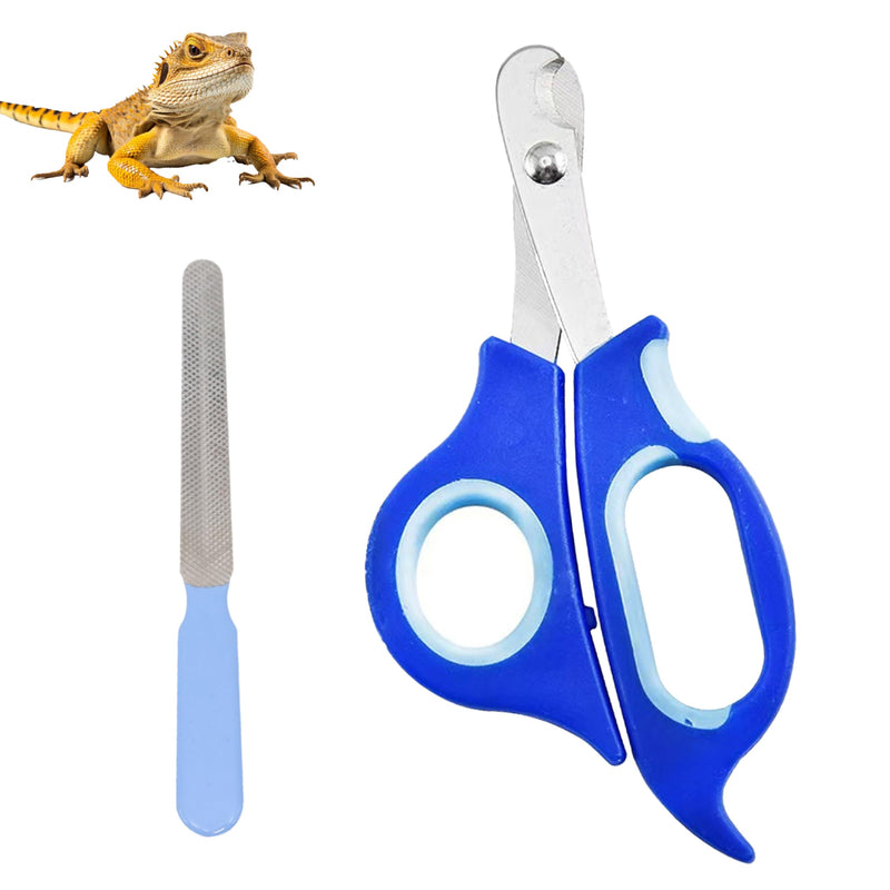 Bearded Dragon Nail Clippers with Precise Angled Edges, Stainless Steel Bearded Dragon Toe Nail Clippers Cat Claw Clippers with Nail File Paw Trimmer, Bearded Dragon Accessories Pet Grooming Tools - PawsPlanet Australia
