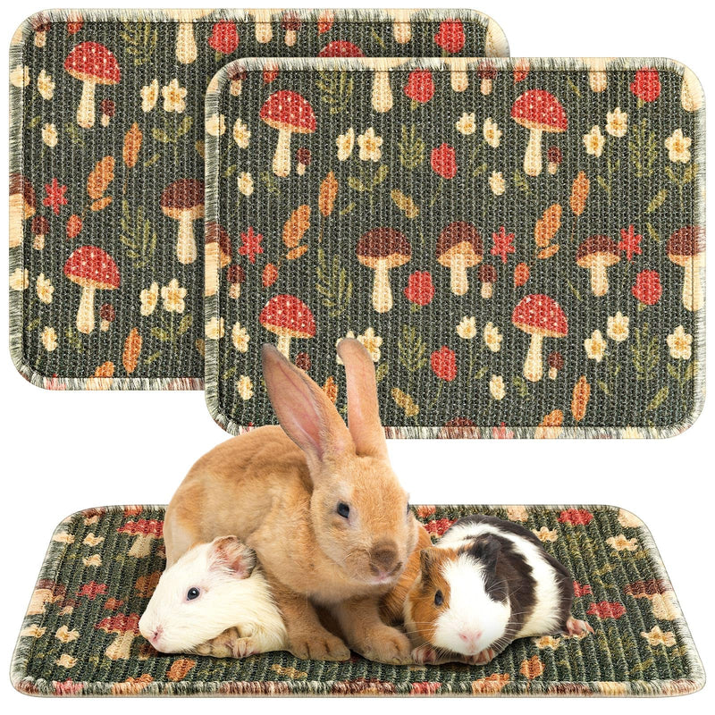 2 Pcs 16 x 12''Rabbit Scratch Mat Natural Bunny Scratching Pad Claws and Teeth Care Rabbit Mats for Cages Chew Toys Bunny Pet Cage Bedding for Biting Sleeping Nesting - PawsPlanet Australia