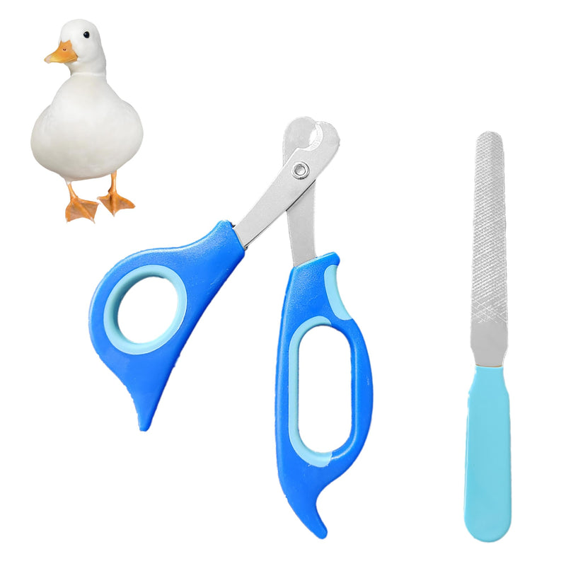 Call Duck Nail Clippers with Nail File，Stainless Steel Call Duck Chicken Hen Roster Goose Toe Nail Clippers Professional Grooming Pet Tool for Small Breed Animals - PawsPlanet Australia