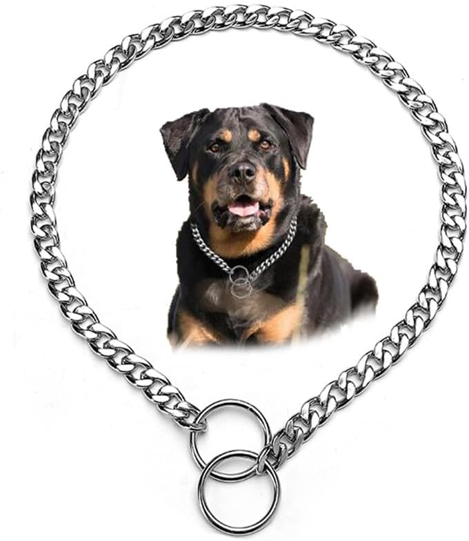 Dog Choke Collar for Large Dogs, Dog Chain Collars Training Metal Link Slip P Chain Choke Heavy Duty Martingale Collar for XS Small Medium Large Big XL Breed Dogs (Silver, XL) Silver XL(Neck Max 22inch)D4mm