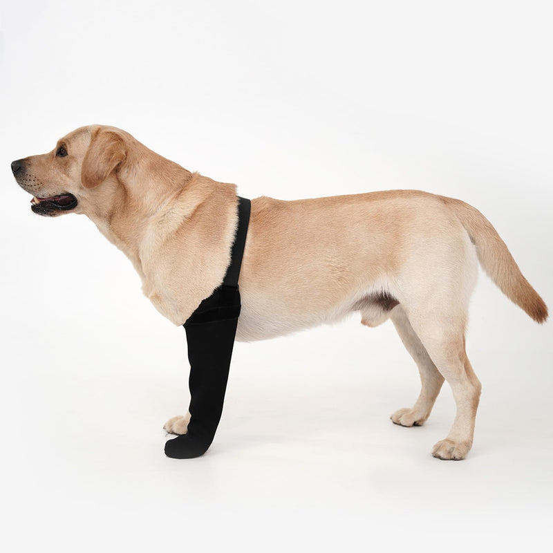 Dog Recovery Socks - Waterproof Paw Protectors with Non-Slip Sole | Post-Surgery Boots for Wound Protection | Anti-Licking Sleeves for Dogs (Black, L_Left) Black - PawsPlanet Australia