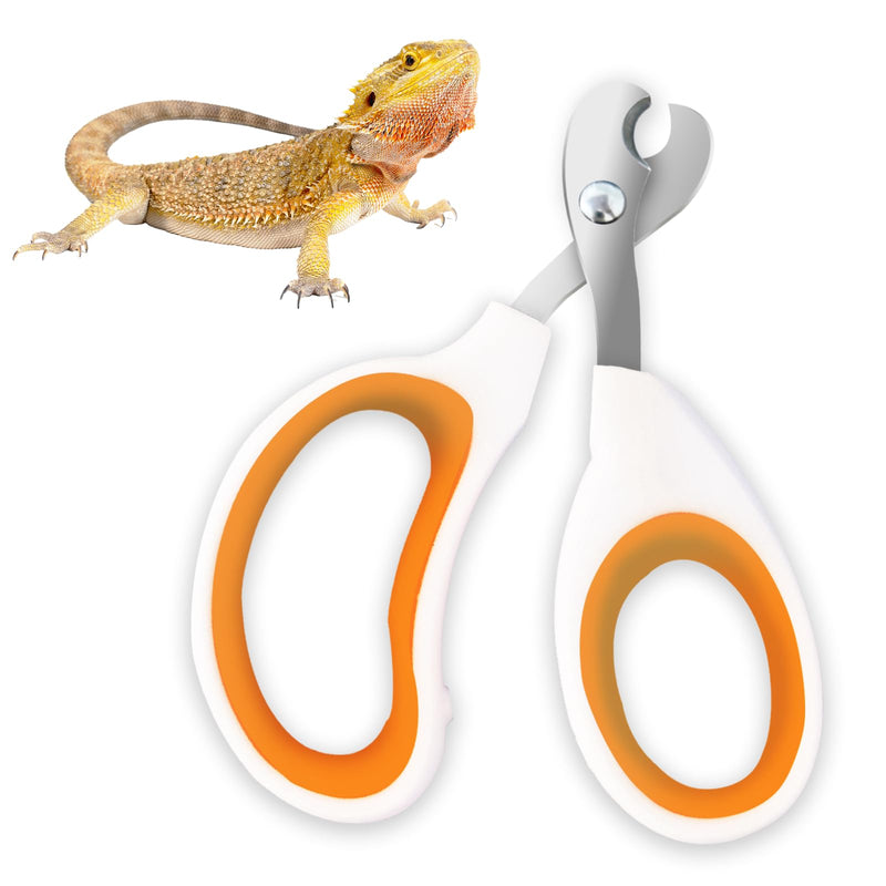 Bearded Dragon Toe Stainless Steel Nail Clippers with Precise Bevel Design, Angled Grooves & Non-Slip Grip - Professional and Safe Pet Grooming Tools?Orange? bevel scissors