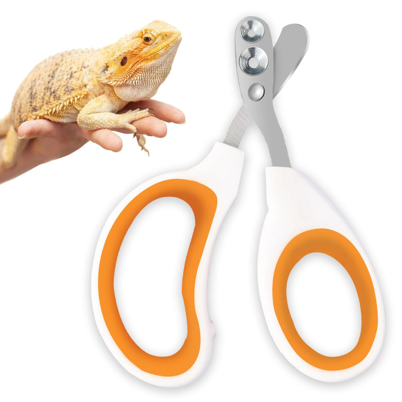 Bearded Dragon Professional Clippers - Depth-Limited Dual Holes, Angled Groove & Non-Slip Handle for Safe Trimming (White) round hole scissors