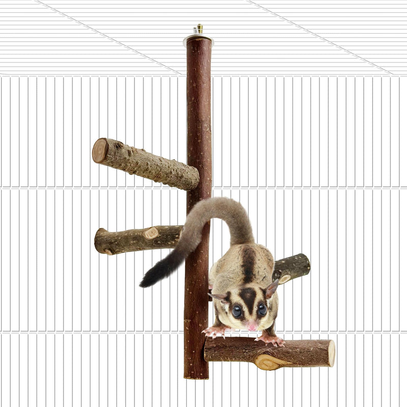 BNOSDM Sugar Glider Toy Natural Fruitwood Perch Stand Squirrel Hanging Wooden Climbing Pole Hamster Paw Grinding Perch Small Animal Cage Accessories for Chinchillas Rats Gerbil Natural Applewood - PawsPlanet Australia