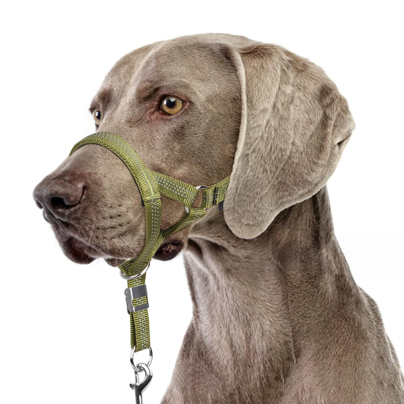 BARKLESS Sturdy No Pull Head Collar for Medium Large Dogs, Gentle Reflective Head Halter with Safety Link, Adjustable Nylon Dog Training Muzzle Leash for Walking Control (Green, L) Green L(Snout 8¾”-10¼”) - PawsPlanet Australia