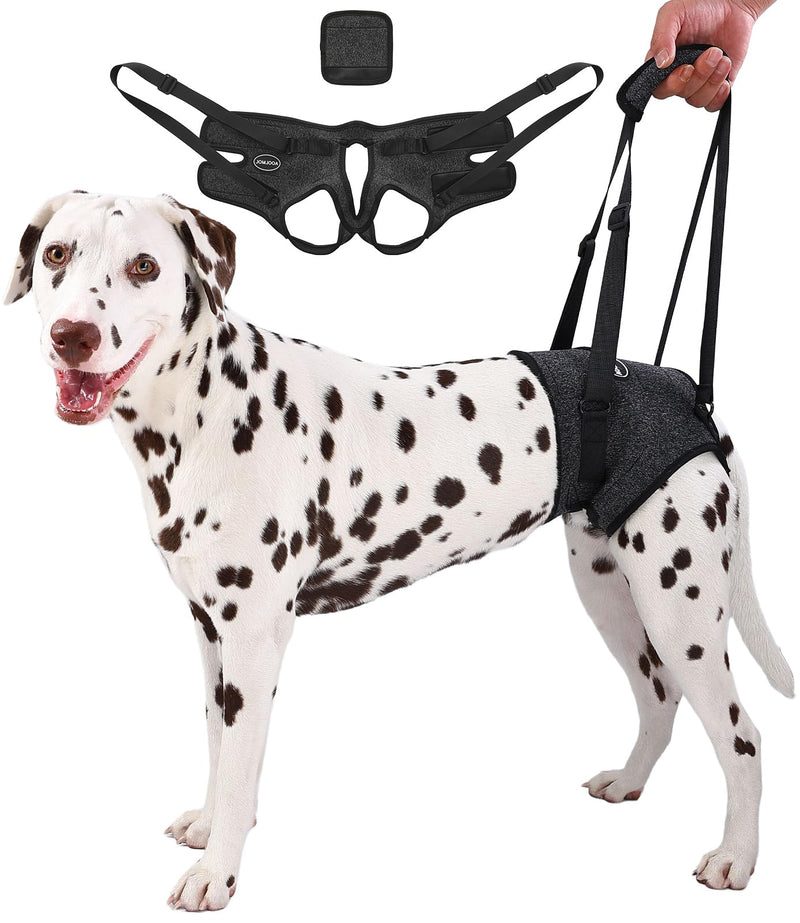 Dog Sling for Medium Large Dog Rear Leg, Lift Harness Provide Support with Muscle Atrophy and Joint Problems for Elderly Injured Arthritic Pet, Dog Weak Rear Legs Provides Rehabilitation Aid L-Waist(20"-25") Dark Grey - PawsPlanet Australia