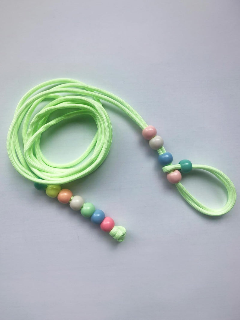 Bearded Dragon Lizard Leash Harness Dinosaur Wing Lizard Harness Leash for Bearded Dragon Lizard Reptiles Leash Nylon Rope for Crested Gecko Chameleon Guinea Pig Ferrets Hamster Rats (Green) green - PawsPlanet Australia