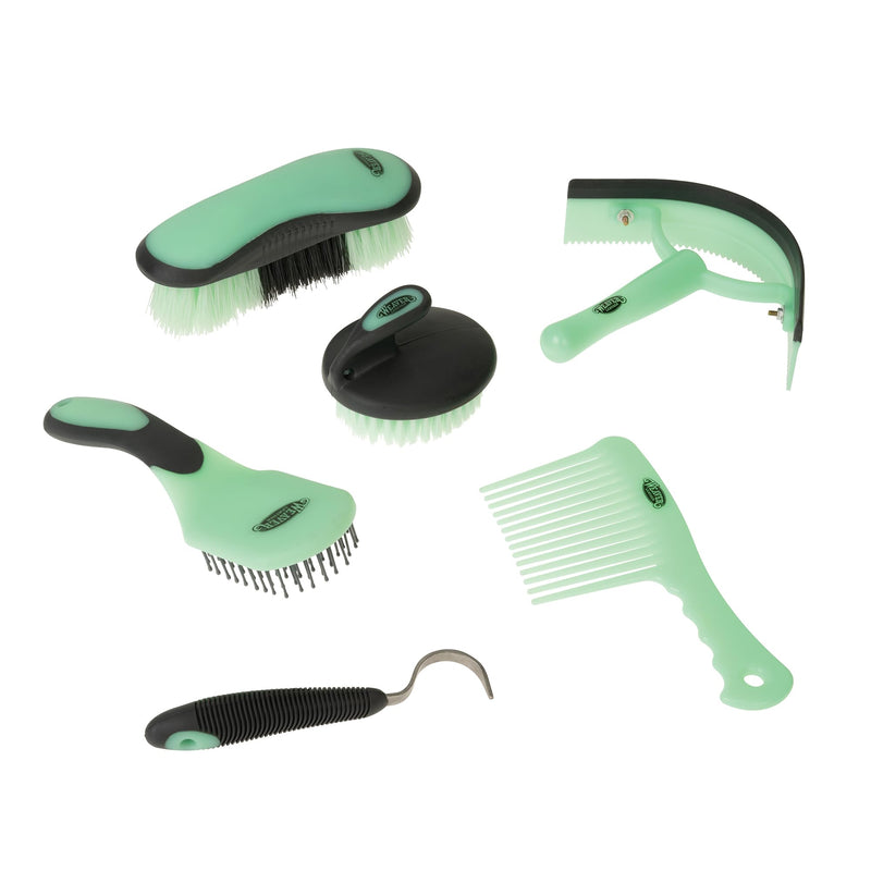 Weaver Equine 6-Piece Horse Grooming Kit, Ergonomic Gentle Horse Care Kit, Equestrian Supplies for Bathing Support, Detangling, and More, Mint/Gray - PawsPlanet Australia