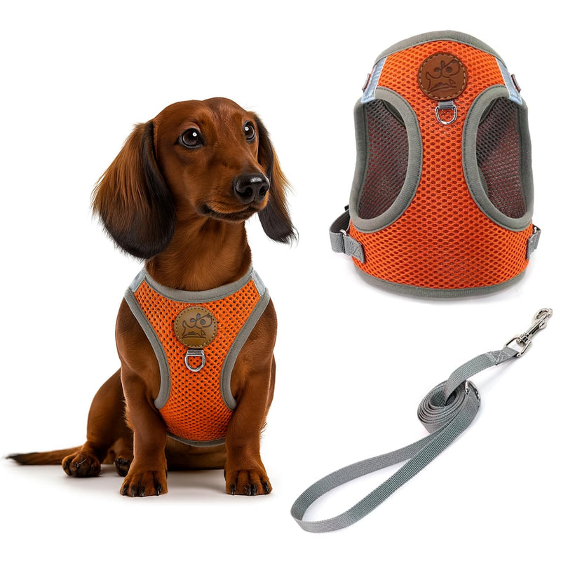 Small Dog Harness and Leash Set, Adjustable Step-in Dog Harness with Back Clip, Reflective Escape Proof Easy Walk Dog Harness for Small Sized Dog, Puppy, Cats (OrangeGrey M) Orange+Grey - PawsPlanet Australia