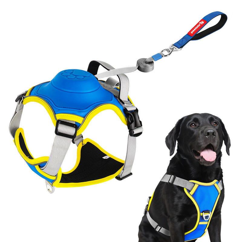 No Pull Dog Harness, 2 in 1 Retractable Harness with Auto-Lock, Reflective Breathable Mesh and Handle, Adjustable Leash Set for Small, Medium,Large Dogs,Cats (Color 2, L) COLOR 2 - PawsPlanet Australia
