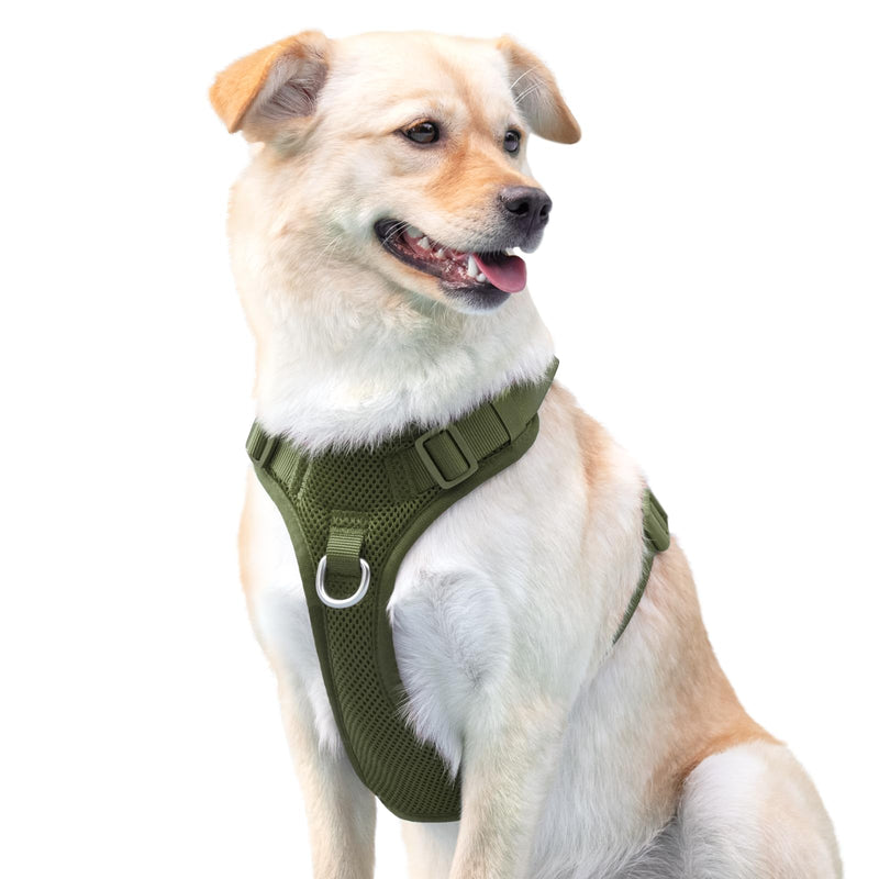 No Pull Dog Harness for Small Medium Large Dogs - Adjustable 2 Layer Mesh Dog Vest with Dual Clip, Escape Proof, Quick Release, Lightweight Breathable Mesh for Walking Hiking (Misty Green,M) M(Neck:18.5-25.6",Chest:20.9-30.7") Misty Green - PawsPlanet Australia
