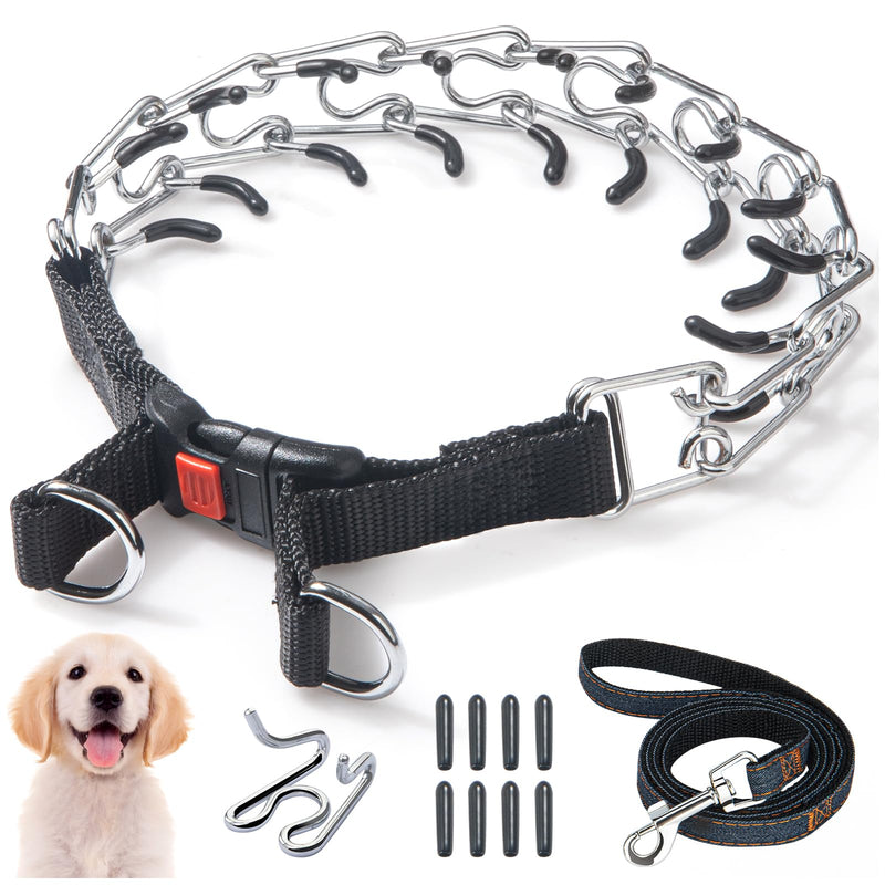 Training Collar for Small Dogs - 2.5mm Adjustable No-Pull Guidance Pet Stainless Steel Collar with Quick Release Buckle. Kit Includes 3.9ft Leash + Links + 8 Comfort Tips (Fits 11-15in Neck) - PawsPlanet Australia