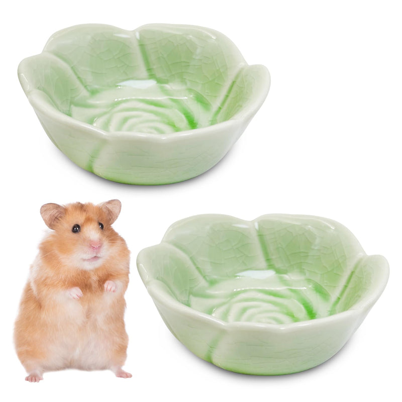 BNOSDM 2 Pcs Hamster Ceramic Food Bowl Flower Series Gerbil Drinking Bowls Anti-Turning Food & Water Dish for Dwarf Syrian Hamsters Gerbil Chinchilla（Green, Rose Pattern） 2.Green - PawsPlanet Australia