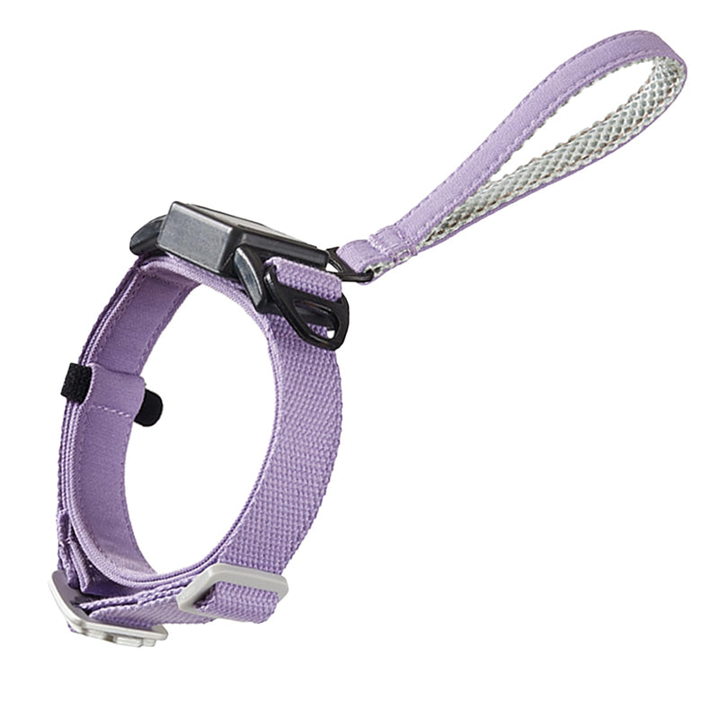 Retractable Dog Leash Collar for Small Medium Dogs - Chew Resistant Kevlar Rope, 5FT Silent Auto-Retraction - 2025 One-Piece with Cotton Padded Adjustable Neck (Purple, M) Purple - PawsPlanet Australia