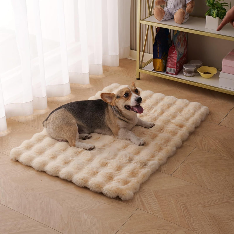 SHENGOCASE Pet Cushion Pad, Faux Fur Dog and Cat kneading Pillow, Cozy Bed Insert for Crate Pad Padding for Cage Kennel (23.6" x 35.4") 23.6" x 35.4" Beige - PawsPlanet Australia