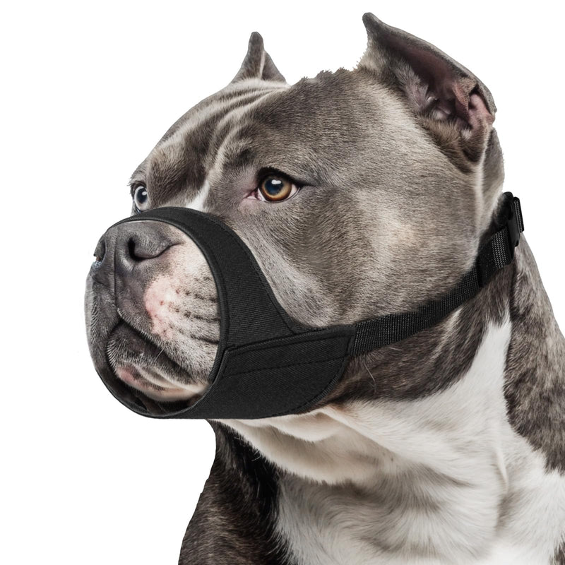 Mayerzon Short Snout Dog Muzzle for Small Medium Dogs, Soft & Sturdy Fabric, Anti Excessive Biting Chewing, Suits Schnauzer Bully Boxer Puppy for Grooming Vet Visits Walk, Allows Drinking(Black, M) Black M [Snout Cir: 8.5-9.5"] - PawsPlanet Australia