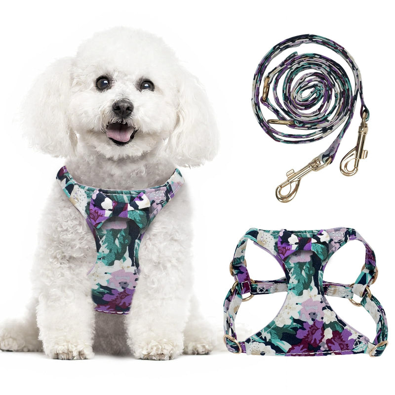 XXS Dog Harness and Leash Set Lightweight Pet Harnesses with Cute Bowtie Floral Pattern, Adjustable Escape Proof Puppy Vest Extra Small Size Dogs for Daily Walking Parties Holiday Purple Purple Flower XXS - PawsPlanet Australia