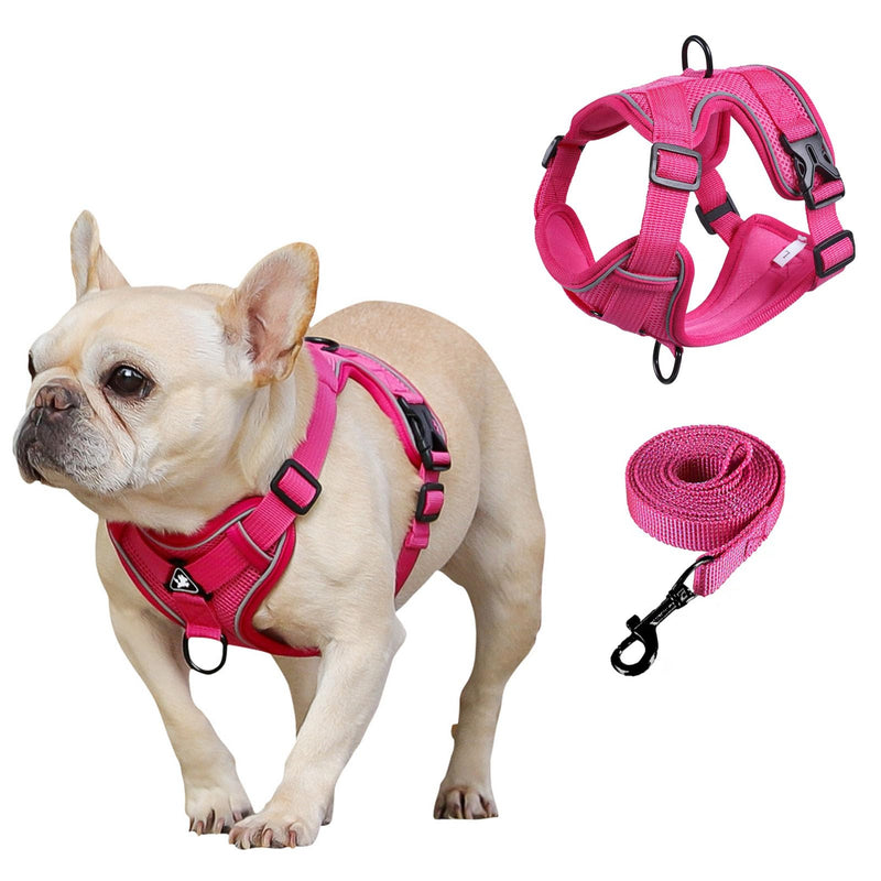 SOLMOONY Small Dog Harness,Soft Mesh Puppy Harness and Leash Set,No Escape Cat Harnesses for Training Walking,Reflective Adjustable Puppy Vest for Small Medium Dogs, Cats (Hot Pink, S) Hot Pink - PawsPlanet Australia