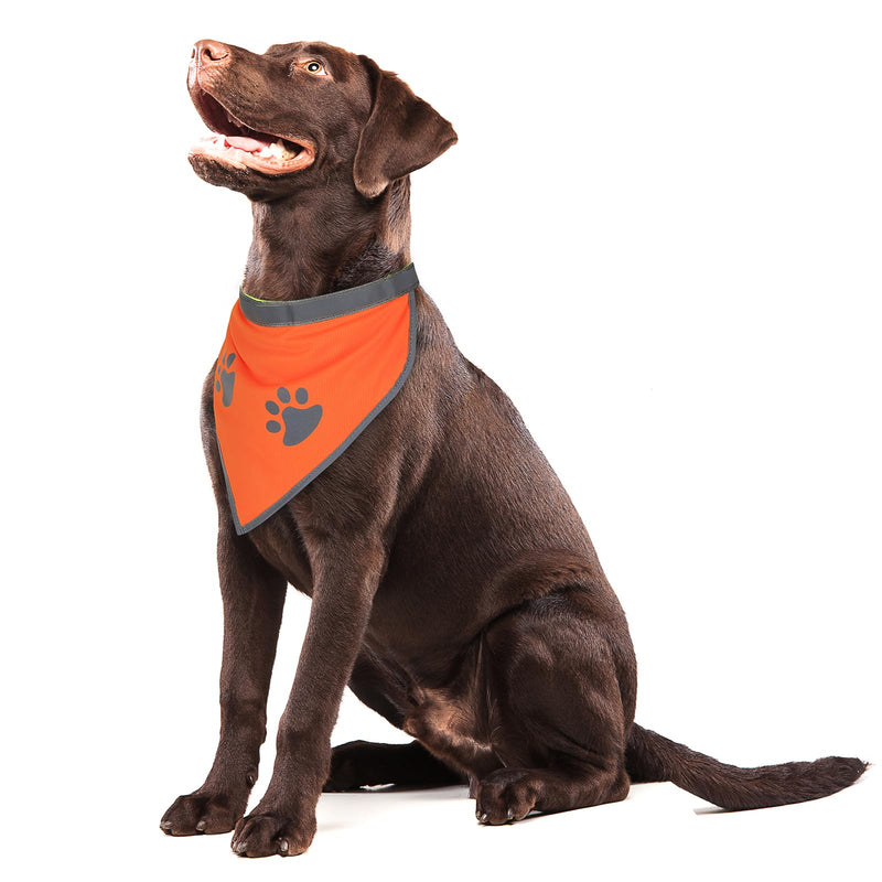 1 PCS Blaze Orange Dog Bandana- Hi-Vis Safety Vest for Hunting, Camping & Off-Leash Exploration | Reflective Dog Collar Gear X-Large Orange-1PC - PawsPlanet Australia