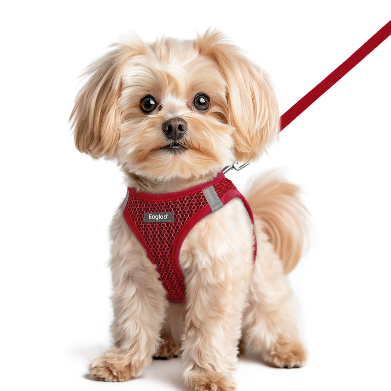 Eagloo Small Dog Harness and Leash Set, Step in Puppy Vest with Breathable Soft Mesh, Walking Reflective Pet Harness for Small Dogs, Red, XS XS(Chest:13.3"-15.5") - PawsPlanet Australia