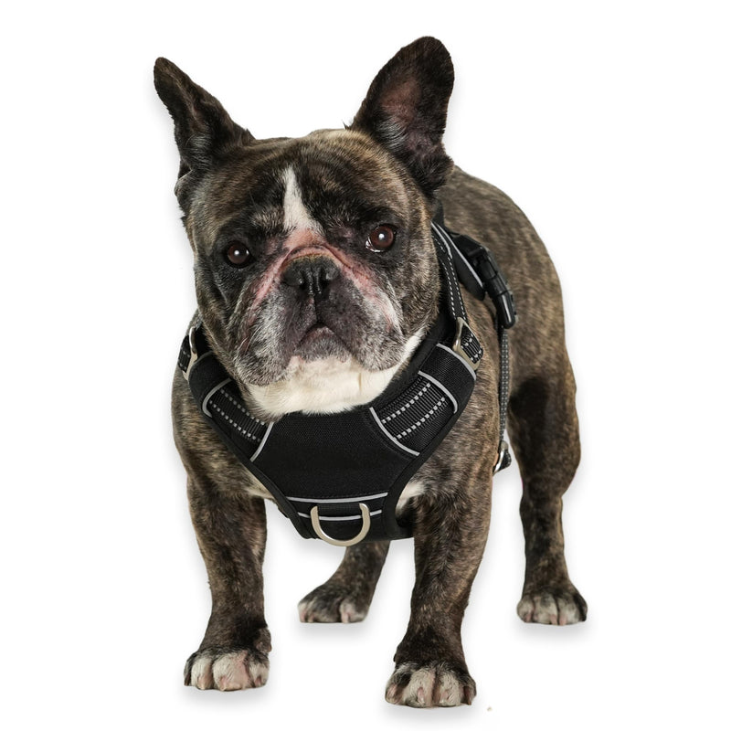 No Pull Dog Harness with Reflective Safety Strips, Adjustable Soft Padded, 3 Buckles, 2 Leash Clips, Oxford No Choke Pet Vest with Easy Control Handle for Small Dogs, Black, S - PawsPlanet Australia