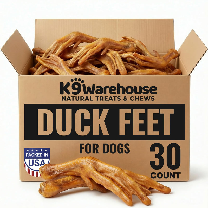 K9warehouse Duck Feet for Dogs – High Protein Dehydrated Dog Treats, Natural Crunchy Chews with Collagen, Glucosamine & Chondroitin for Joint & Hip Health, Dental Care, Small to Large Breeds (30 pcs) 30 Count - PawsPlanet Australia