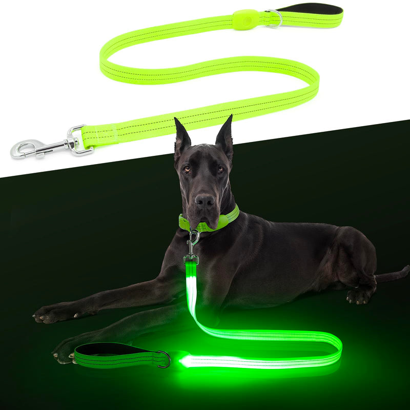 LED Dog Leash, Light Up Dog Leash 4 Ft Fully Illuminated USB Rechargeable Waterproof, Nylon Reflective Leashes with Padded Handle for Dogs Night Walking, Safety Glow in The Dark for Large Medium Pets Green - PawsPlanet Australia