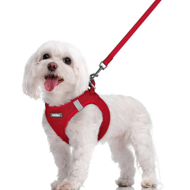 rabbitgoo Dog Harness Small Sized and Leash Set, Step in Soft Light Puppy Vest, Breathable Mesh Pet Harness, Reflective for Safe Easy Walking, Red M M (Chest: 16 - 18.5") - PawsPlanet Australia