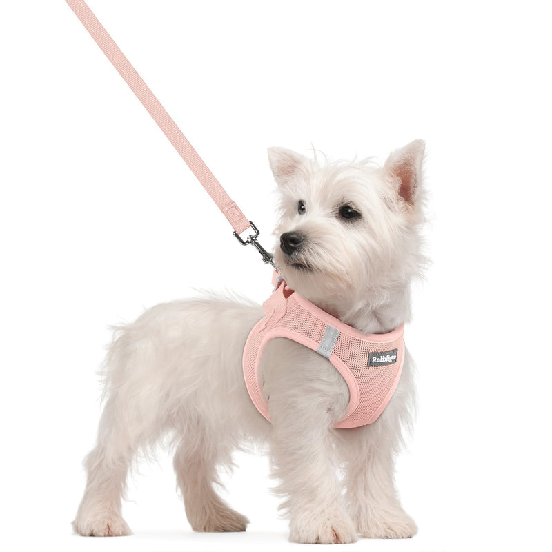 rabbitgoo Dog Harness Small Sized and Leash Set, Step in Soft Light Puppy Vest, Breathable Mesh Pet Harness, Reflective for Safe Outdoor Walking, Pink S S (Chest: 15.1 - 16.5") - PawsPlanet Australia