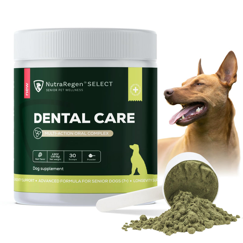 Nutraregen Senior Dog Dental Powder 30 Scoops | Beef Flavored Dog Breath Freshener with Probiotic Blend for Oral & Gum Health | Pet Dental Powder Helps Manage Plaque & Tartar Buildup | 4.6 Oz - PawsPlanet Australia