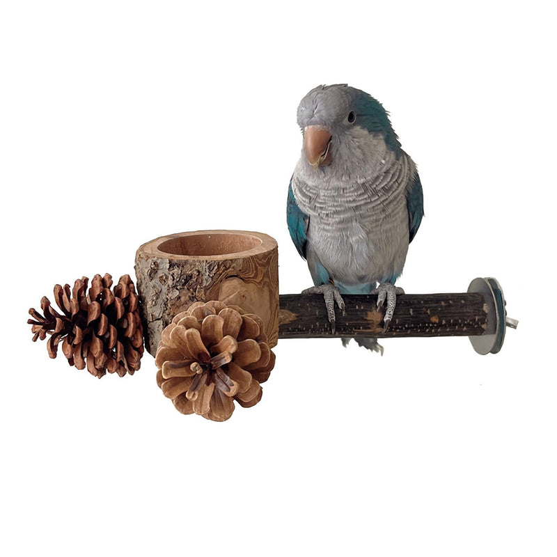 Bird Perch with Feeder for Cage & Chew Toys Pinecones - Bird Cage Accessories 100% Natural & Durable for Cockatiel, Conure, Budgie, Lovebird, Parakeet - Parrot Food Treats Bowl for Foraging 1 pack perch bowl