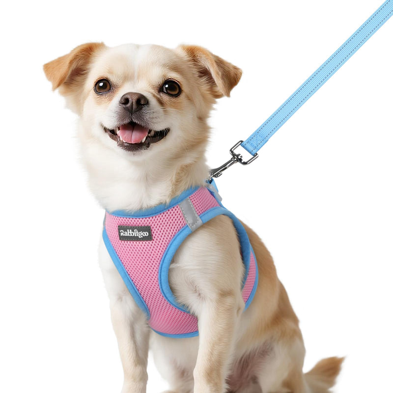 rabbitgoo Dog Harness Small Sized and Leash Set, Step-in Breathable Pet Harness, Soft Walking Reflective Puppy Vest for Small Dogs, Pink & Light Blue, XXS XXS (Chest: 12.4 - 14.2")