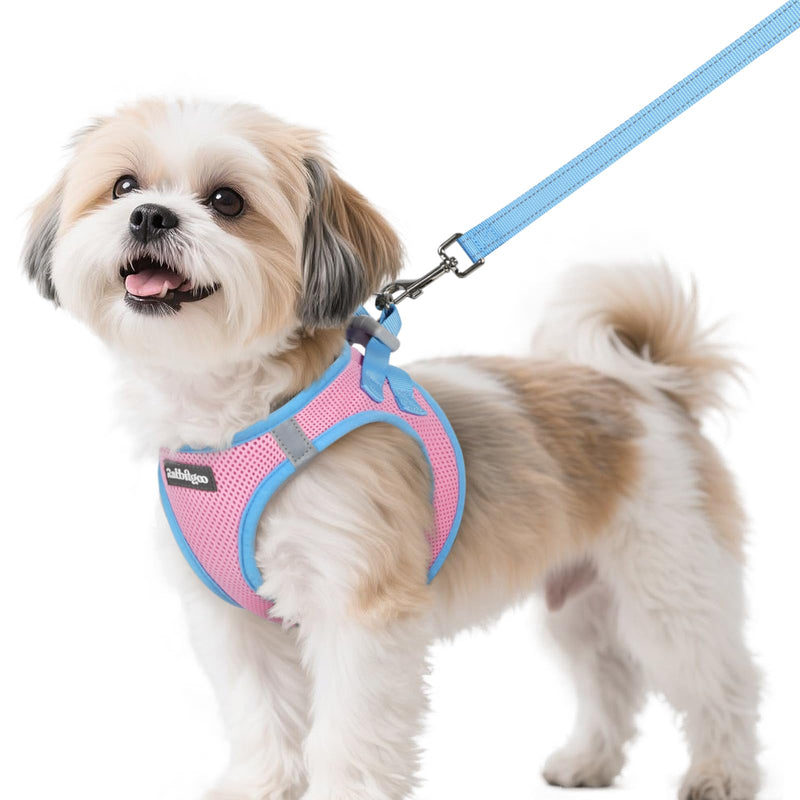 rabbitgoo Dog Harness Small Sized and Leash Set, Step-in Breathable Pet Harness, Soft Walking Reflective Puppy Vest for Small Dogs, Pink & Light Blue, S S (Chest: 15.1 - 16.5") - PawsPlanet Australia