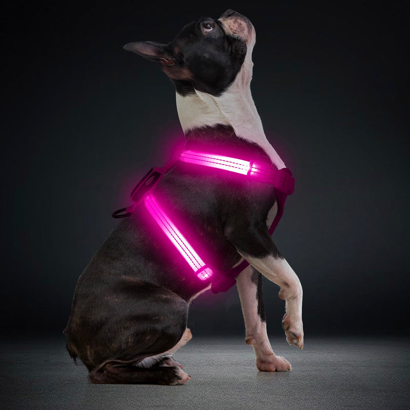 Light Up Small Dog Harness, LED Rechargeable Harness for Small Sized Dog, No Pull Reflective Adjustable Dog Vest Harness with Soft Light, Glow-in-The-Dark for Night Safety Walking (Pink) Pink - PawsPlanet Australia