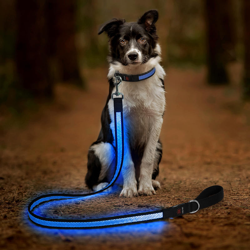 Candofly 4 Ft LED Dog Leash, USB Rechargeable Light Up Dog Leash, 3 Lighting Modes, Glow in The Dark, Nylon Reflective Pet Leashes with Lights for Night Walking (Blue) Blue - PawsPlanet Australia