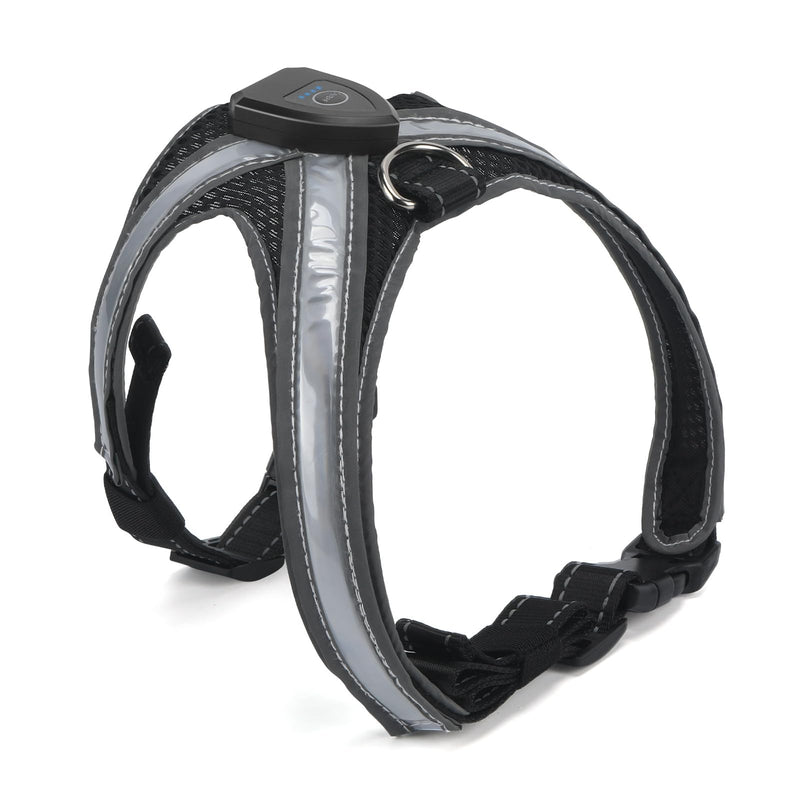 Light Up Dog Harness, LED Dog Harness-7 Lighting Modes, Rechargeable, Lightweight and Adjustable, Suitable for Small and Medium Dogs, Glowing Safety Vest for Nighttime Dog Walking - PawsPlanet Australia