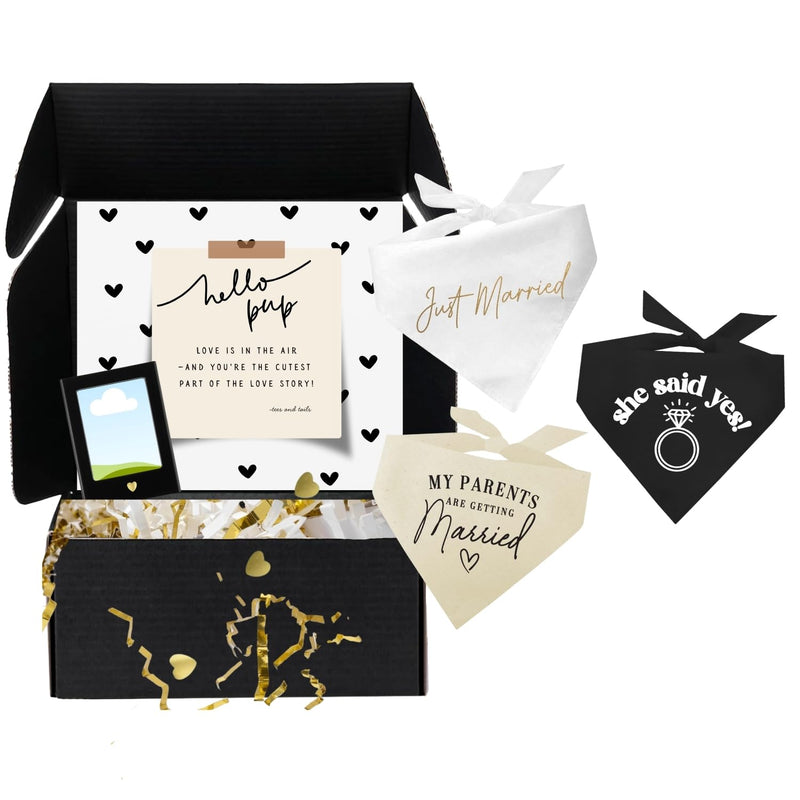 Dog Bridal, Wedding Gift Box – 3 Cotton Bandanas (My Parents are Getting Married, Just Married, She Said Yes) & Magnetic Photo Frame 2.5" x3,5 |Black, One Size (1308) - PawsPlanet Australia