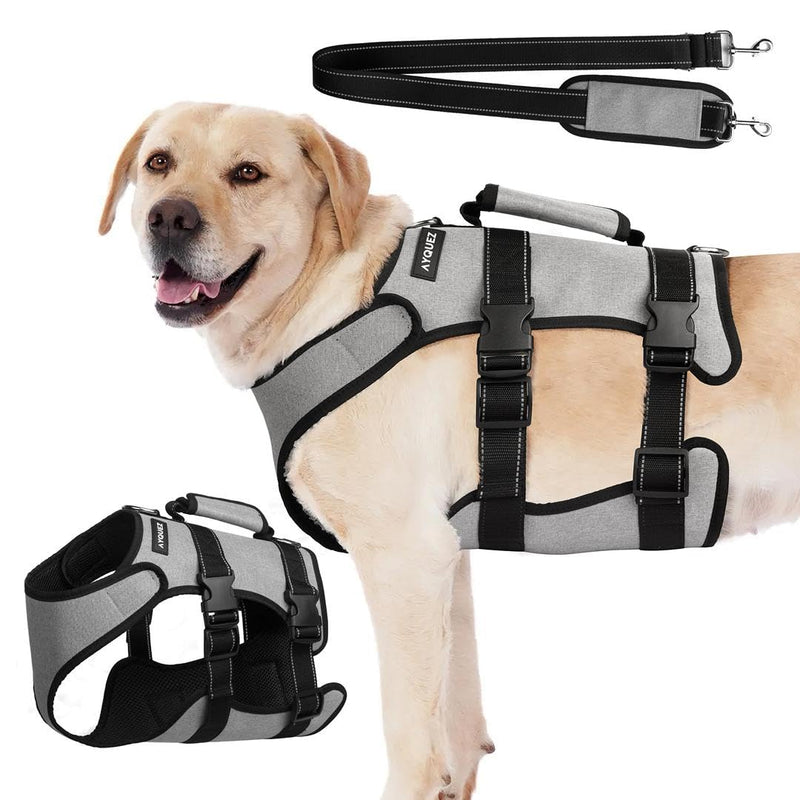 Ayquez Dog Lift Harness with Storage and Transport Bag, Dog Harness with Handle for Lifting & Hip dysplasia, arnés para Perros pequeños, pechera para Perros (Gray, M) Gray - PawsPlanet Australia