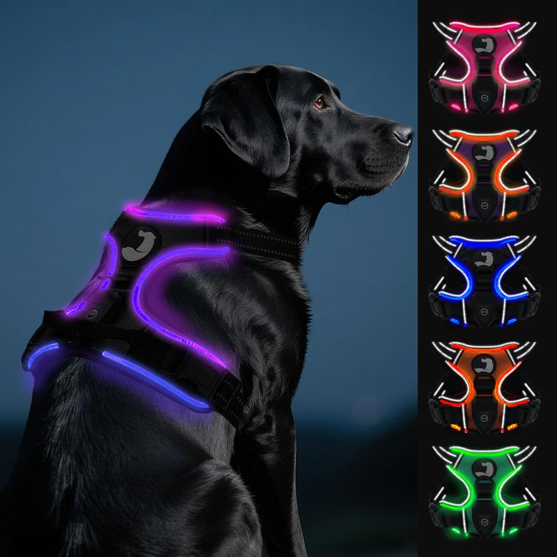 Joytale Light Up Dog Harness, No Pull Dog Harness USB Rechargeable for Night Walking with 3 Lightning Modes and Soft Handle, Adjustable Reflective Lighted Safety Vest,Black-Purple, L - PawsPlanet Australia