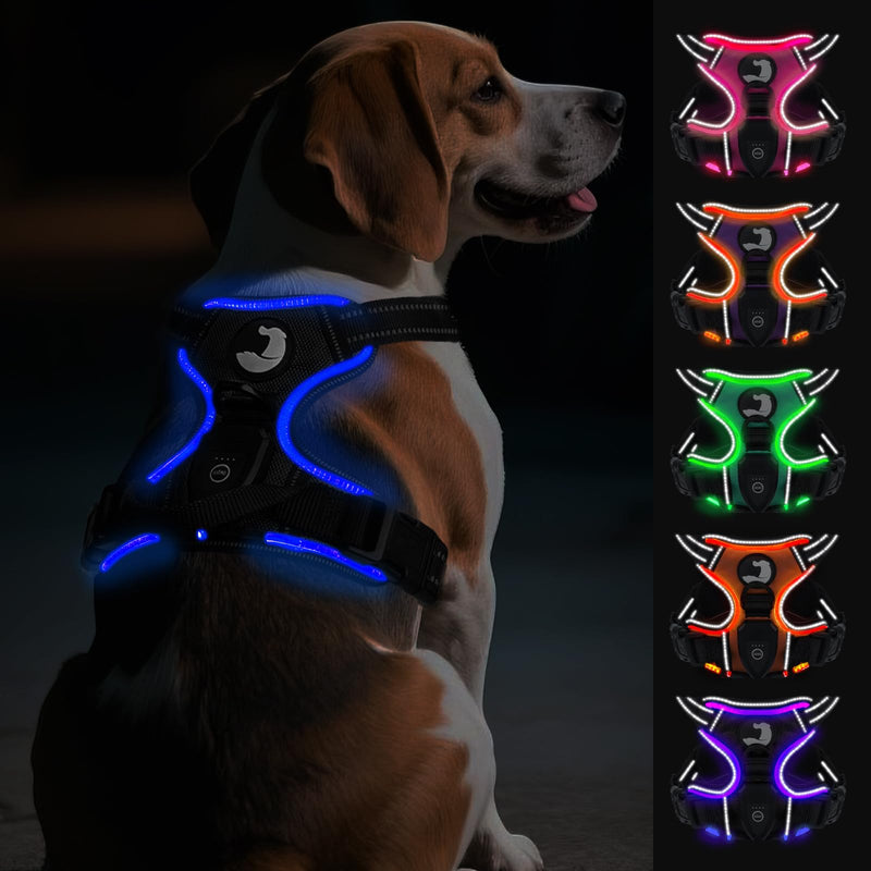 Joytale Light Up Dog Harness, No Pull Dog Harness USB Rechargeable for Night Walking with 3 Lightning Modes and Soft Handle, Adjustable Reflective Lighted Safety Vest,Black-Blue,M Medium Black-Blue - PawsPlanet Australia