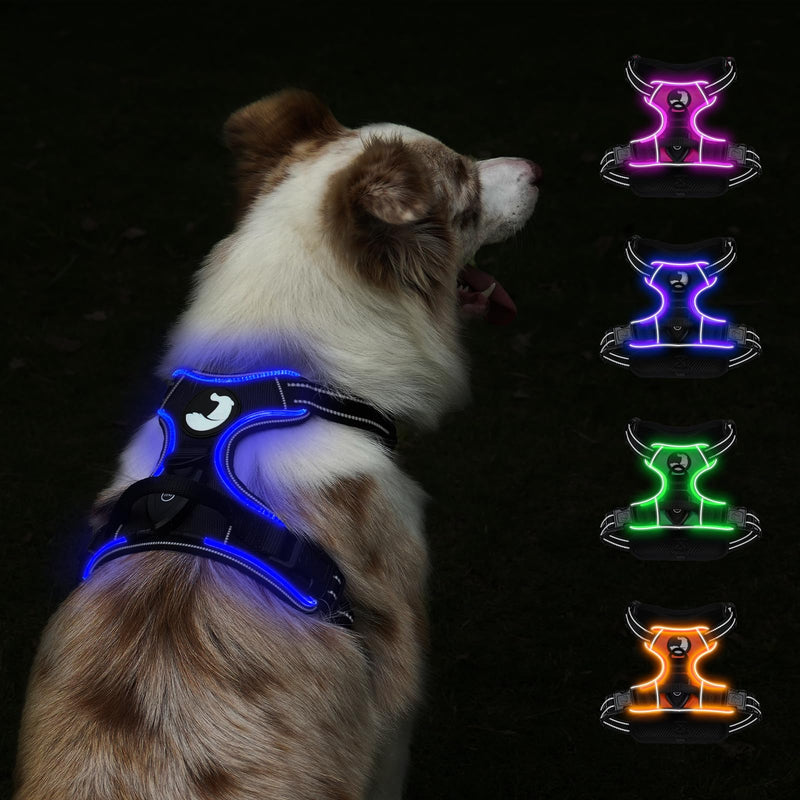 Taglory Light Up Dog Harness, Rechargeable No Pull Dog Vest with 3 Lightning Modes, Reflective Dog Harness with 2 Leash Clips & 4 Adjustable Slide Strips for Medium Dogs, Black-Blue, M - PawsPlanet Australia