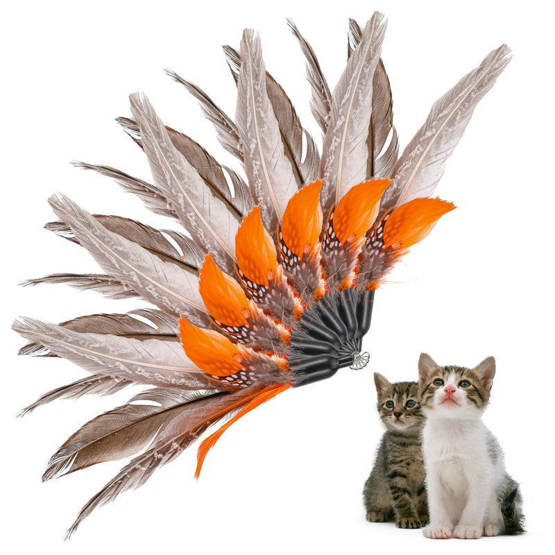 Cat Feather Toys Refills 6 Pieces Interactive Cat Wand Replacement Feathers Toy for Indoor Cats Universal Fit for Most Cats Wands - PawsPlanet Australia