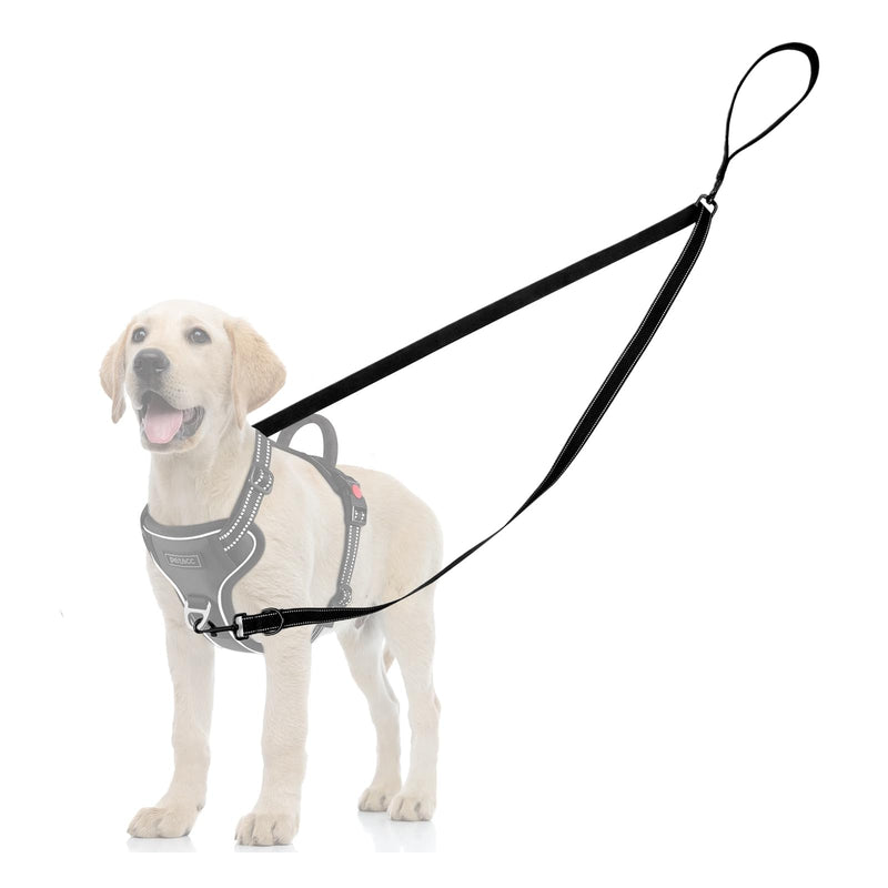 Two Point Control Dog Leash, Reflective Double Leash for No Pull Harness with Soft Handle No Tangle 4ft Dog Leashes Converts to Single Training Leashes for Medium Large Dogs (Black) - PawsPlanet Australia