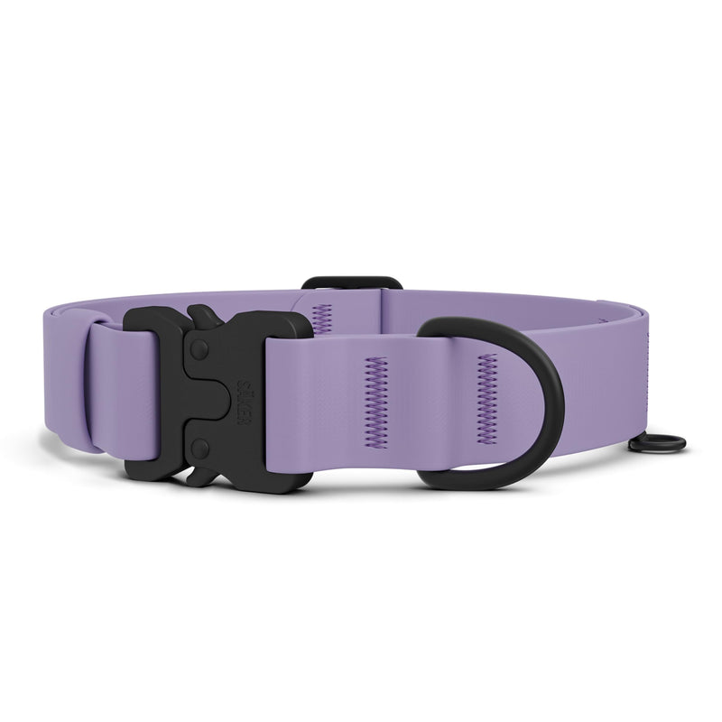 Säker Waterproof Dog Collar - Adjustable Lightweight Dog Collars for Medium Dogs - 1 Inch Durable Medium Dog Collar with Aluminum D-Ring, Daisy Chain and Quick-Release Buckle | Purple Dog Collar M Lilas - PawsPlanet Australia